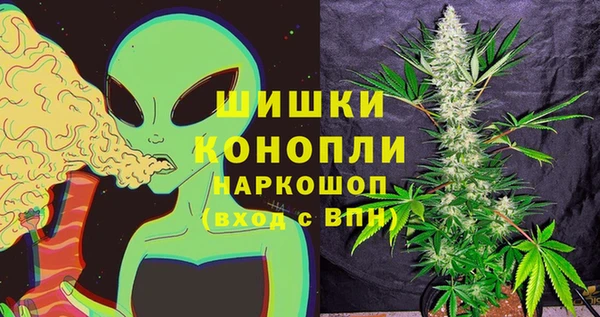 прущие грибы Баксан