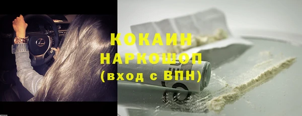 прущие грибы Баксан