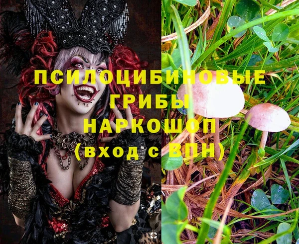 прущие грибы Баксан